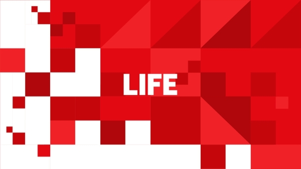 В детских садах по всей России введут аналог &laquo;Разговоров о важном&raquo;