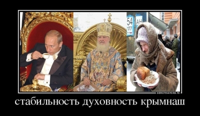 Аквариумные рыбки для начинающих: с чего начать уход